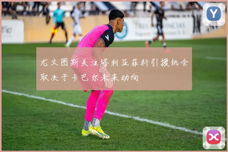 尤文图斯关注塔利亚菲科引援机会取决于卡巴尔未来动向
